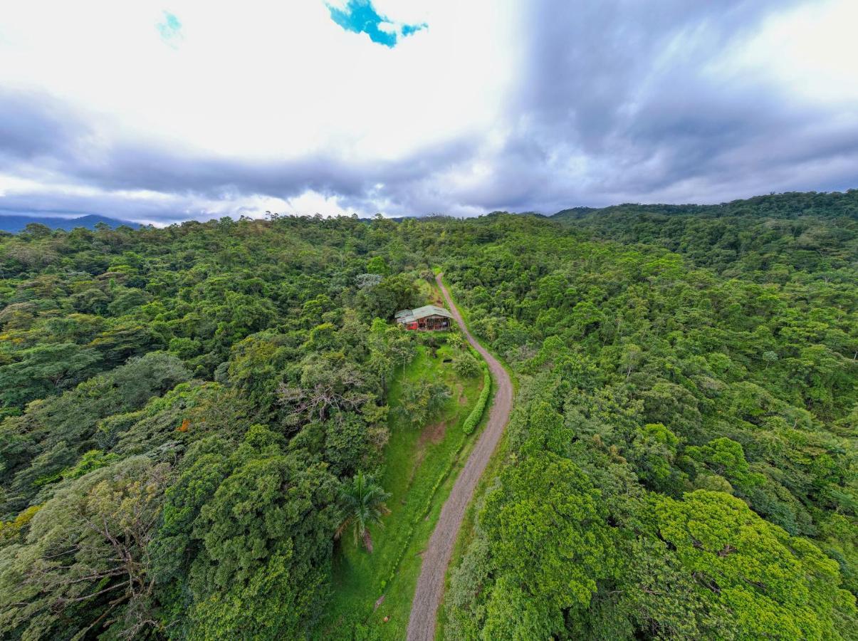 Birds & Breakfast Costa Rica Bed & Breakfast La Tigra  Ngoại thất bức ảnh