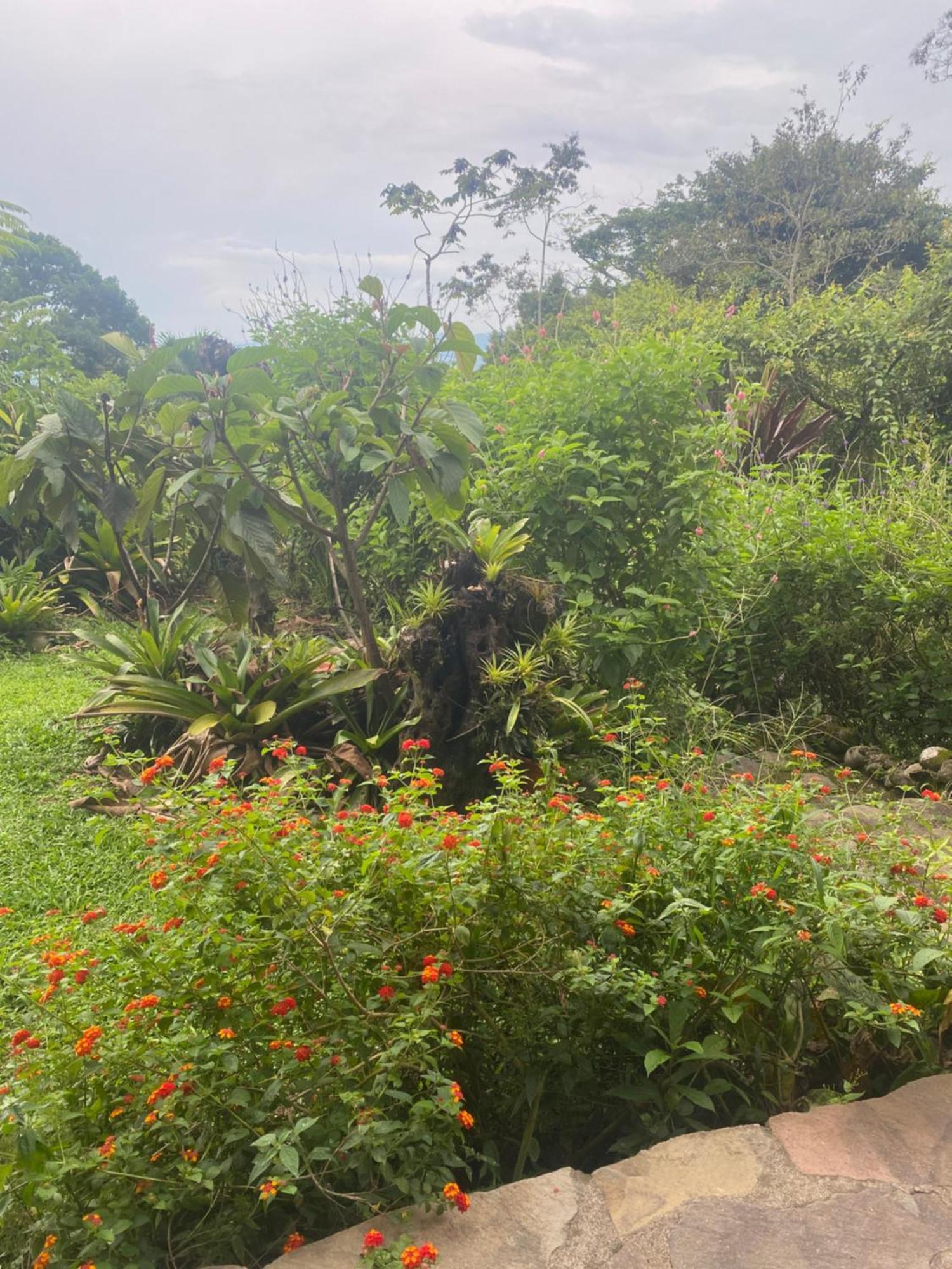 Birds & Breakfast Costa Rica Bed & Breakfast La Tigra  Ngoại thất bức ảnh