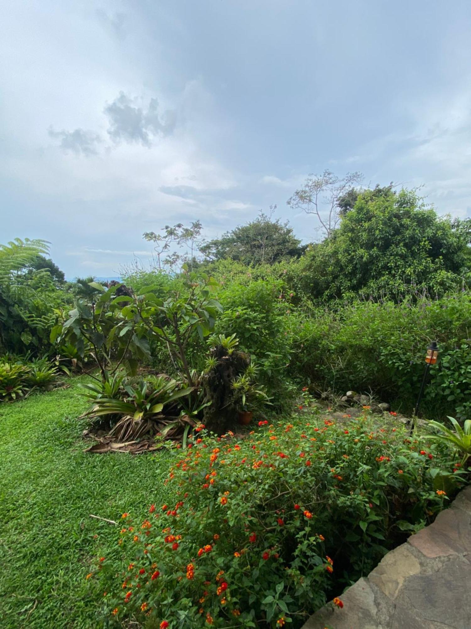 Birds & Breakfast Costa Rica Bed & Breakfast La Tigra  Ngoại thất bức ảnh