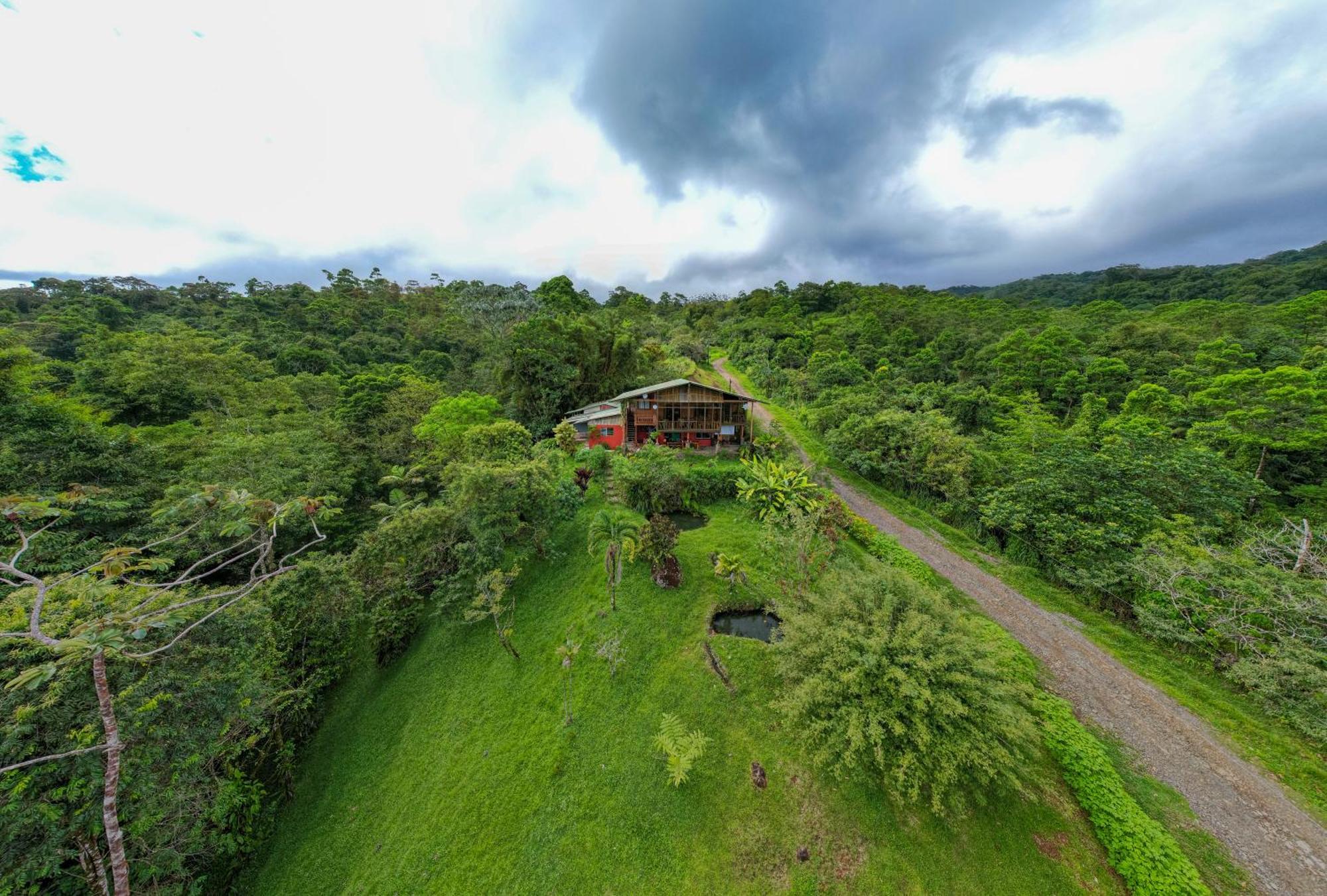 Birds & Breakfast Costa Rica Bed & Breakfast La Tigra  Ngoại thất bức ảnh